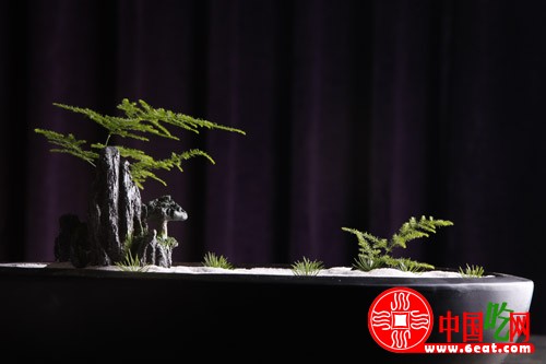 巴西海盐?甲鱼鲜鲍