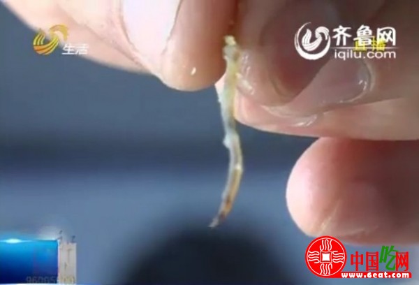 肯德基汉堡吃出寄生虫 餐厅表示是鸡肉血管