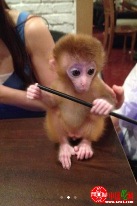 袖珍石猴