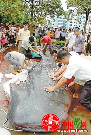 传江西万年水库出现食人鱼 官方回应：纯属造谣