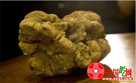 细数全世界最贵的美味佳肴（组图）