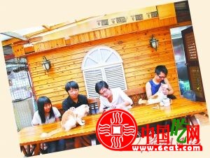 猫咪主题餐厅:咪星人卖萌侍客你买不买账(图)