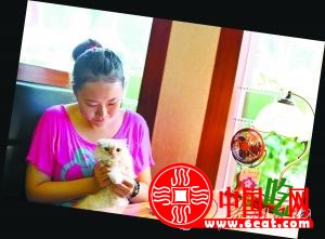 猫咪主题餐厅:咪星人卖萌侍客你买不买账(图)