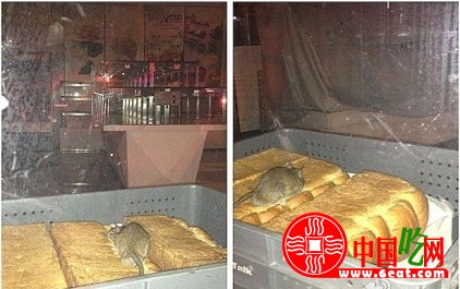 面包新语老鼠事件：微博回应贵阳店为山寨（图）