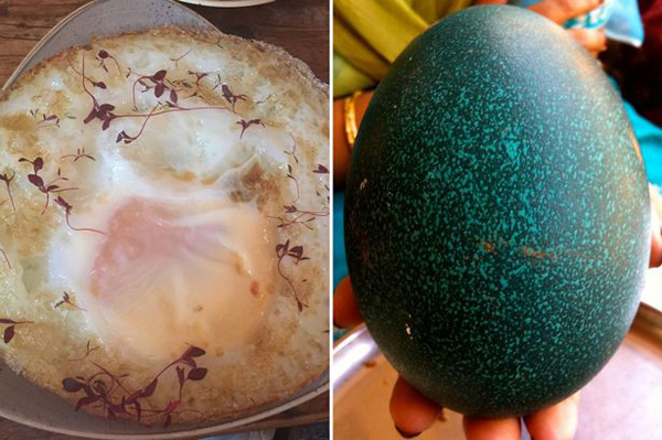 英餐厅推出花样煎鸵鸟蛋 生意爆棚