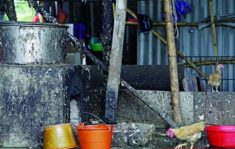 查处私宰家禽窝点 脏水直接注入鸡鸭