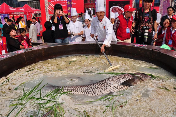 郑州鱼王煮火锅 盘点被捕获的巨型鱼类