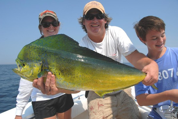 泉州市民捕获怪鱼 科普各种奇特鱼类