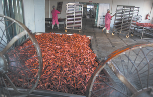 温州鸭舌企业初旭食品老板失联 近四月工资没发