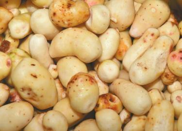 商贩用焦亚硫酸钠漂白芋头