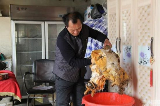 农民获140斤太岁 如今已用其赚了60万元