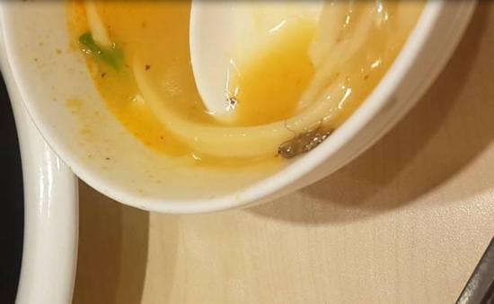 孕妇饭店吃出蟑螂 店主说吃出蟑螂是特色