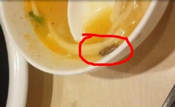 孕妇饭店吃到蟑螂 老板：是特色蟑螂味