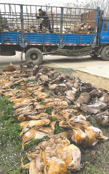 男子家藏10吨野味 涉嫌非法经营被判刑