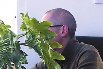 “天价鱼”当事人回应与餐厅老板拥抱:没有和解