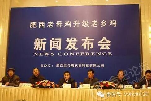 老乡鸡的营销